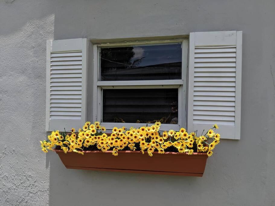 3 Bedroom Miami Home 15 Minutes To The Beach المظهر الخارجي الصورة
